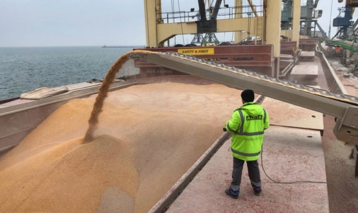 Перевалка вантажів та експедирування з TEUS