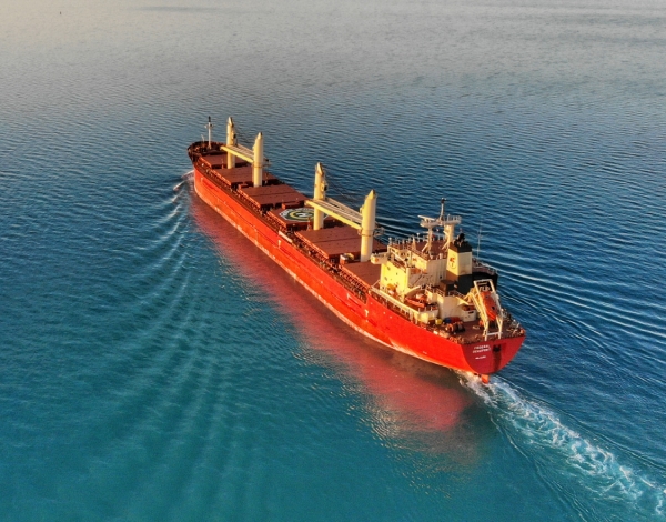 Агентування суден TEUS