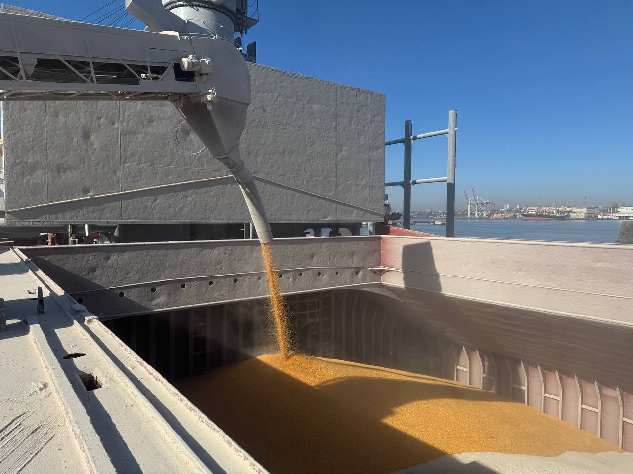 photo_2026-01-08-12.34